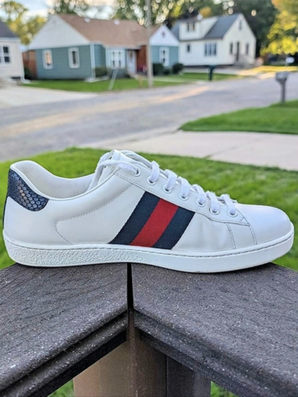 Gucci Ace Leather Sneaker with Web Color Block EU 38